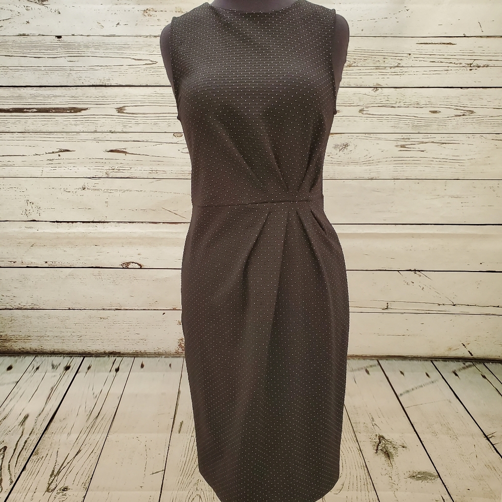 NEW! Banana Republic polkadot sheath dress